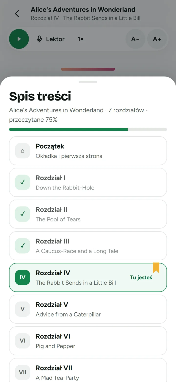 Spis treści z zaznaczonym bieżącym rozdziałem